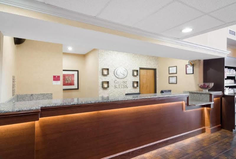 Quality Suites Irving-Las Colinas Zewnętrze zdjęcie